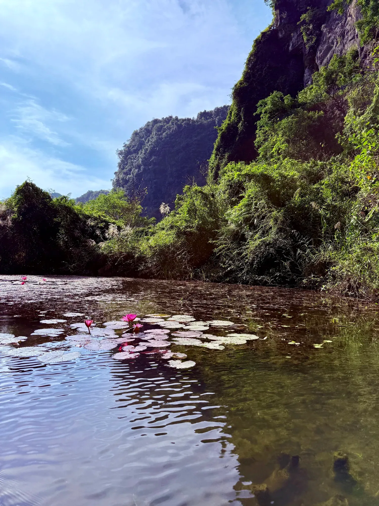 Hà Giang · the loop unfolds